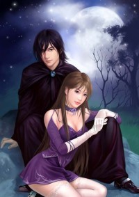 豪门女婿